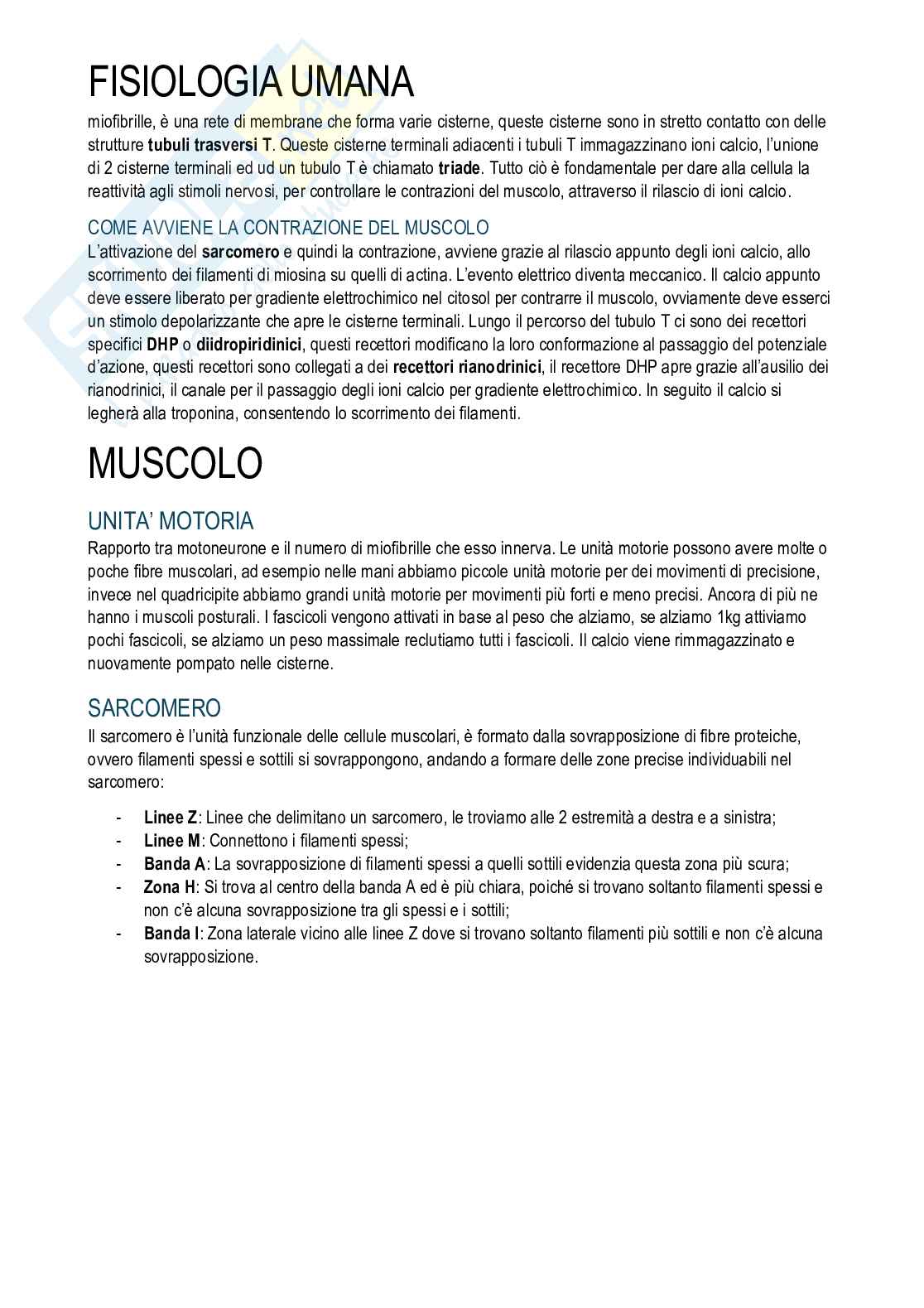 Fisiologia umana Pag. 11