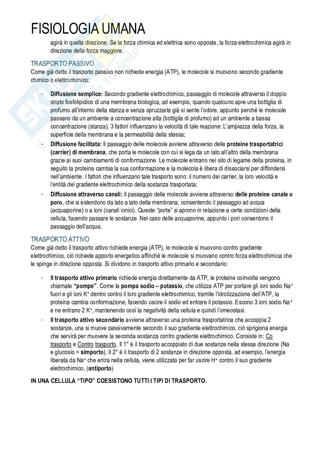 Fisiologia umana Pag. 2