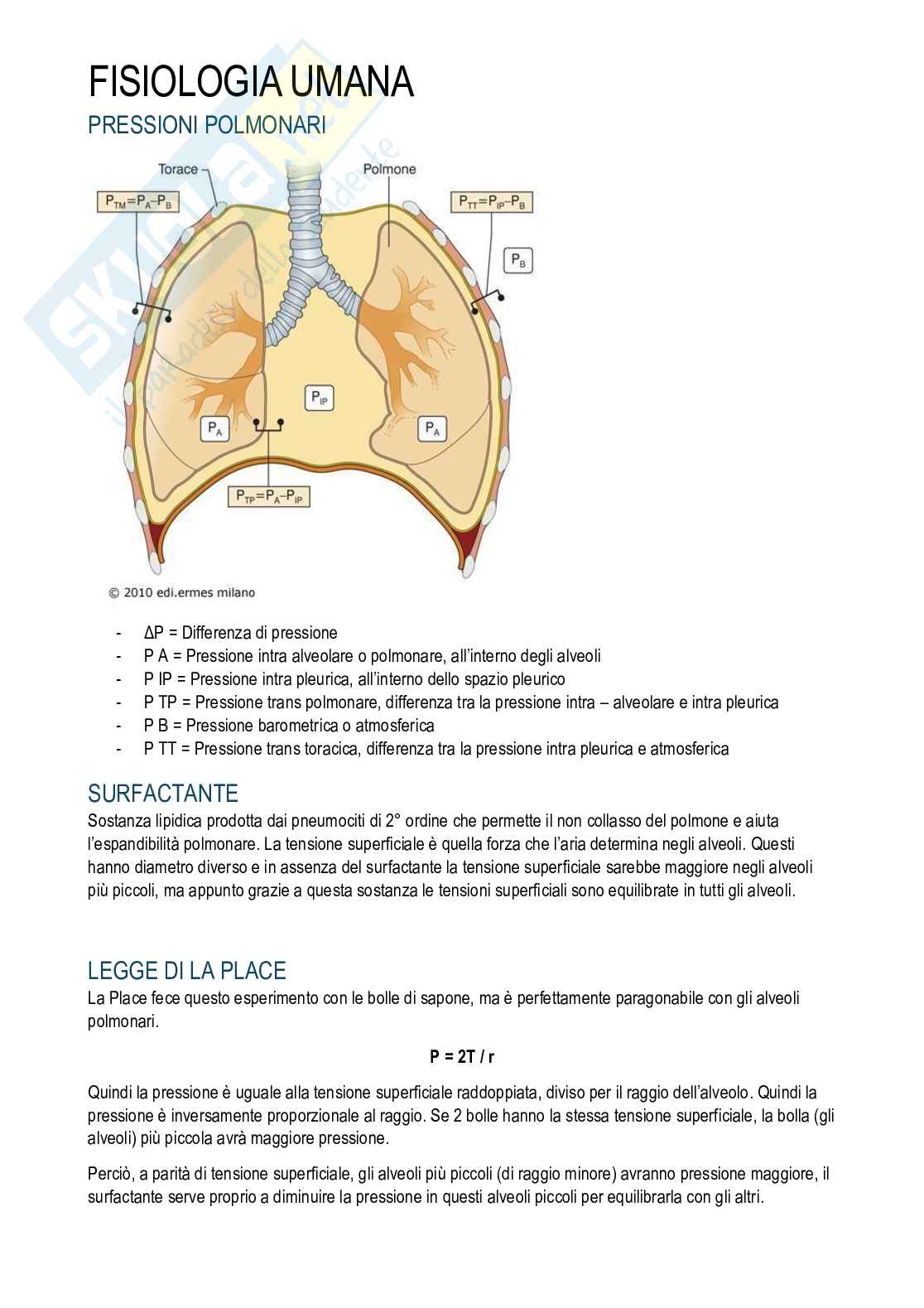Fisiologia umana Pag. 31