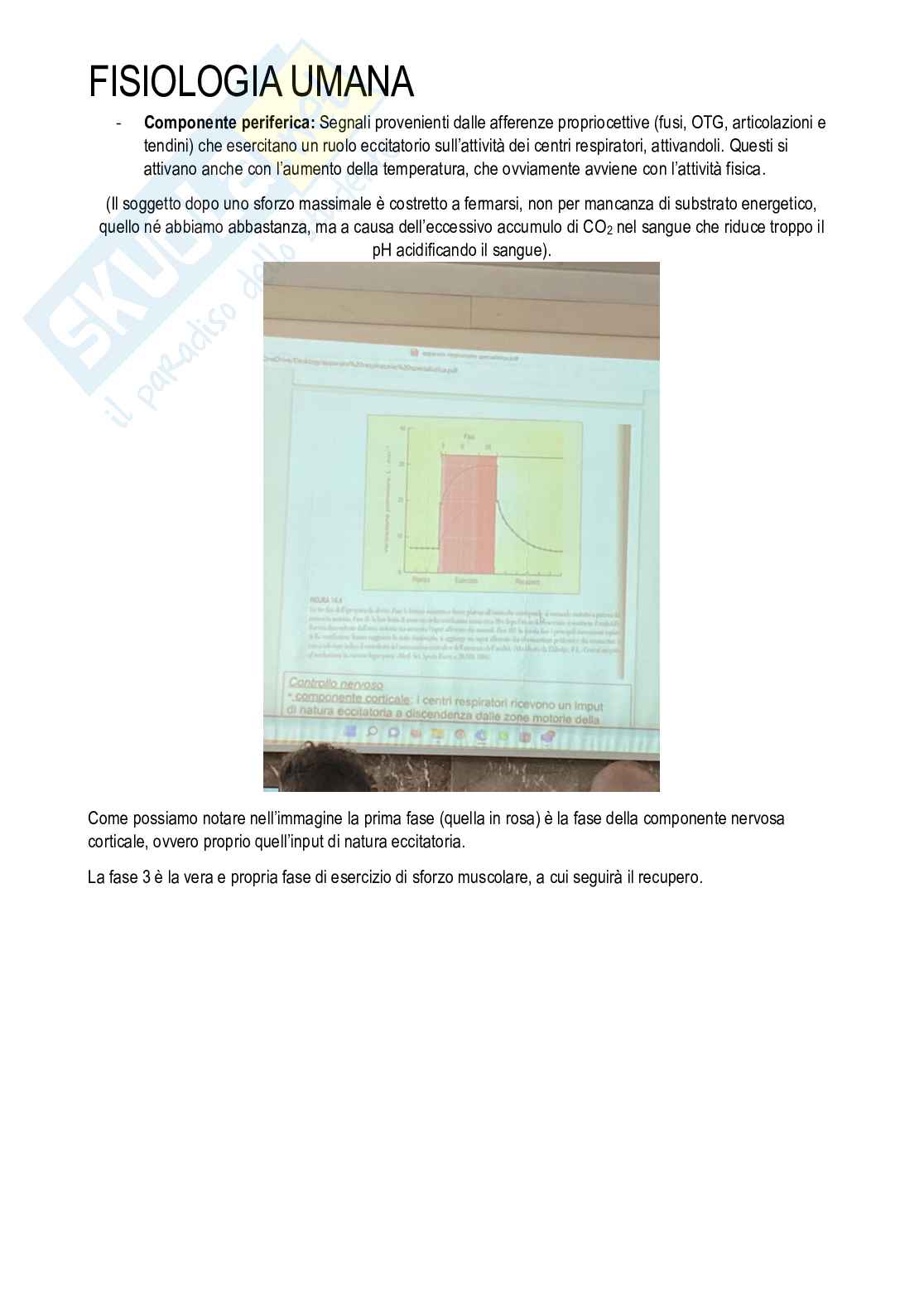 Fisiologia umana Pag. 46