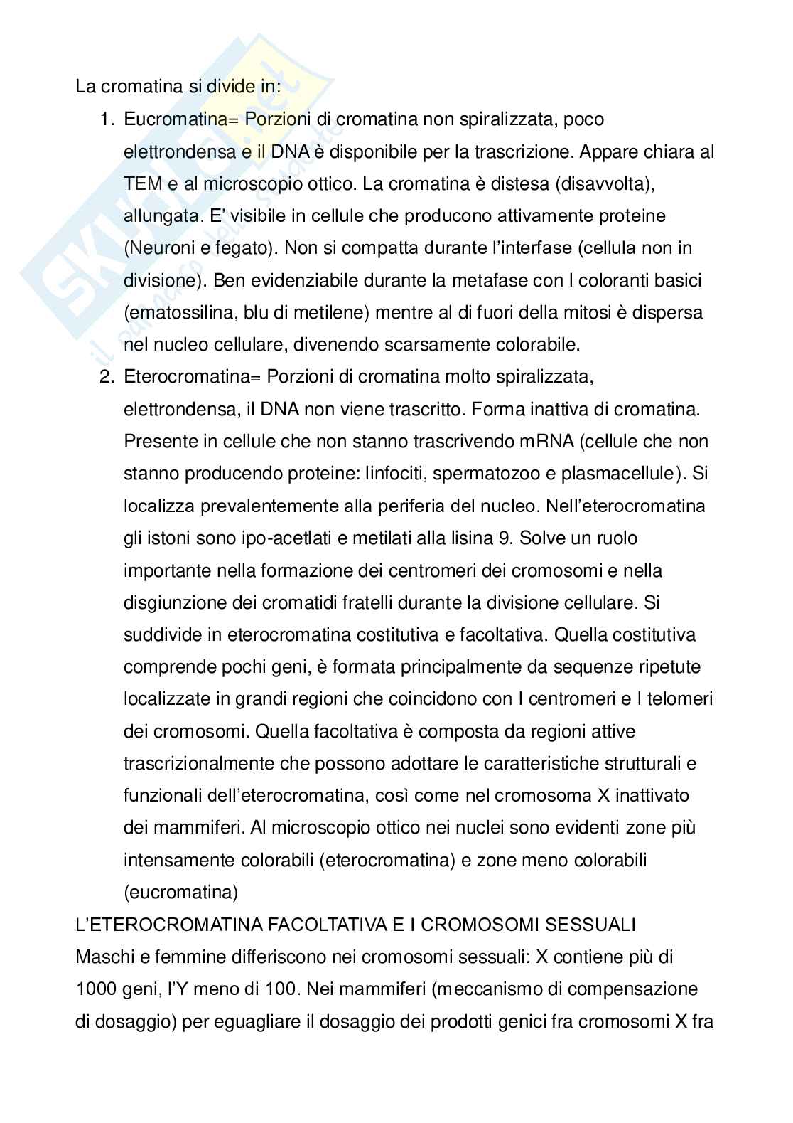 Citologia: il nucleo Pag. 6