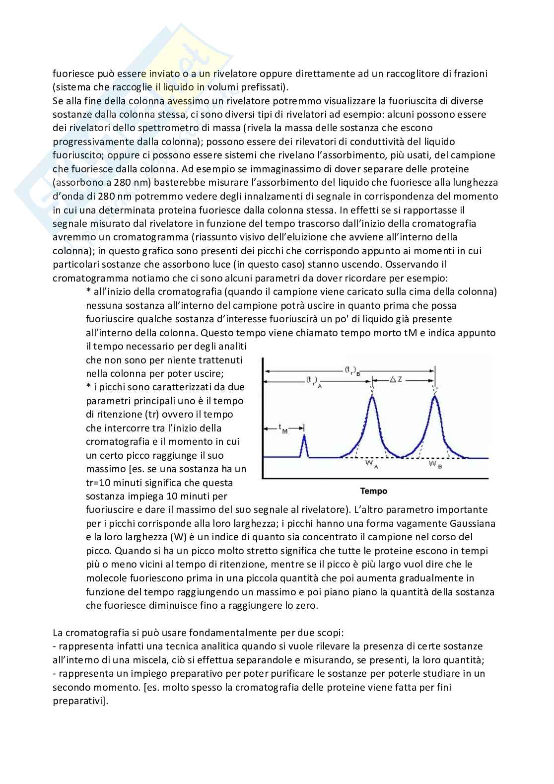 Appunti esaustivi di Metodologie biochimiche e proteomiche Pag. 16