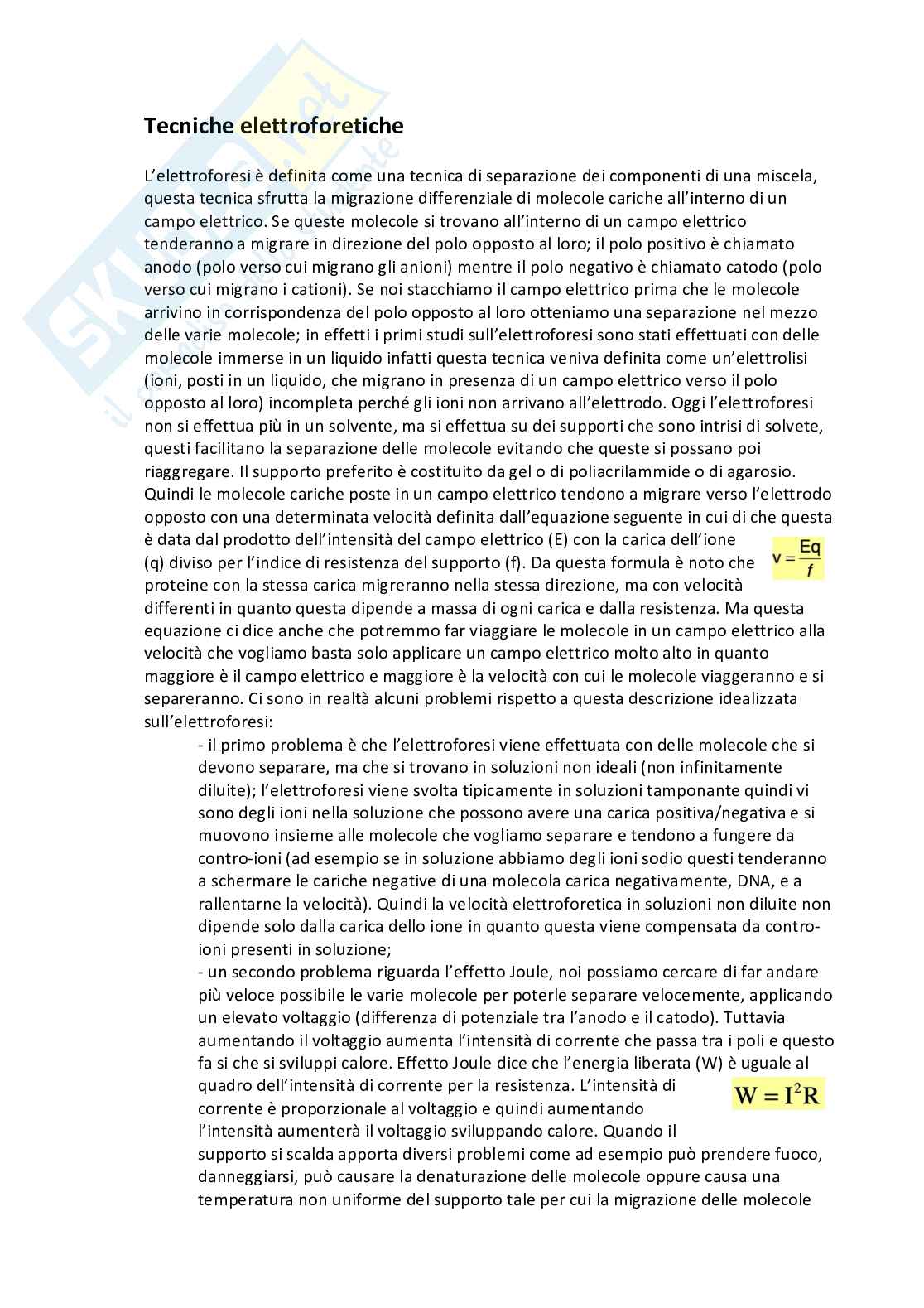 Appunti esaustivi di Metodologie biochimiche e proteomiche Pag. 26