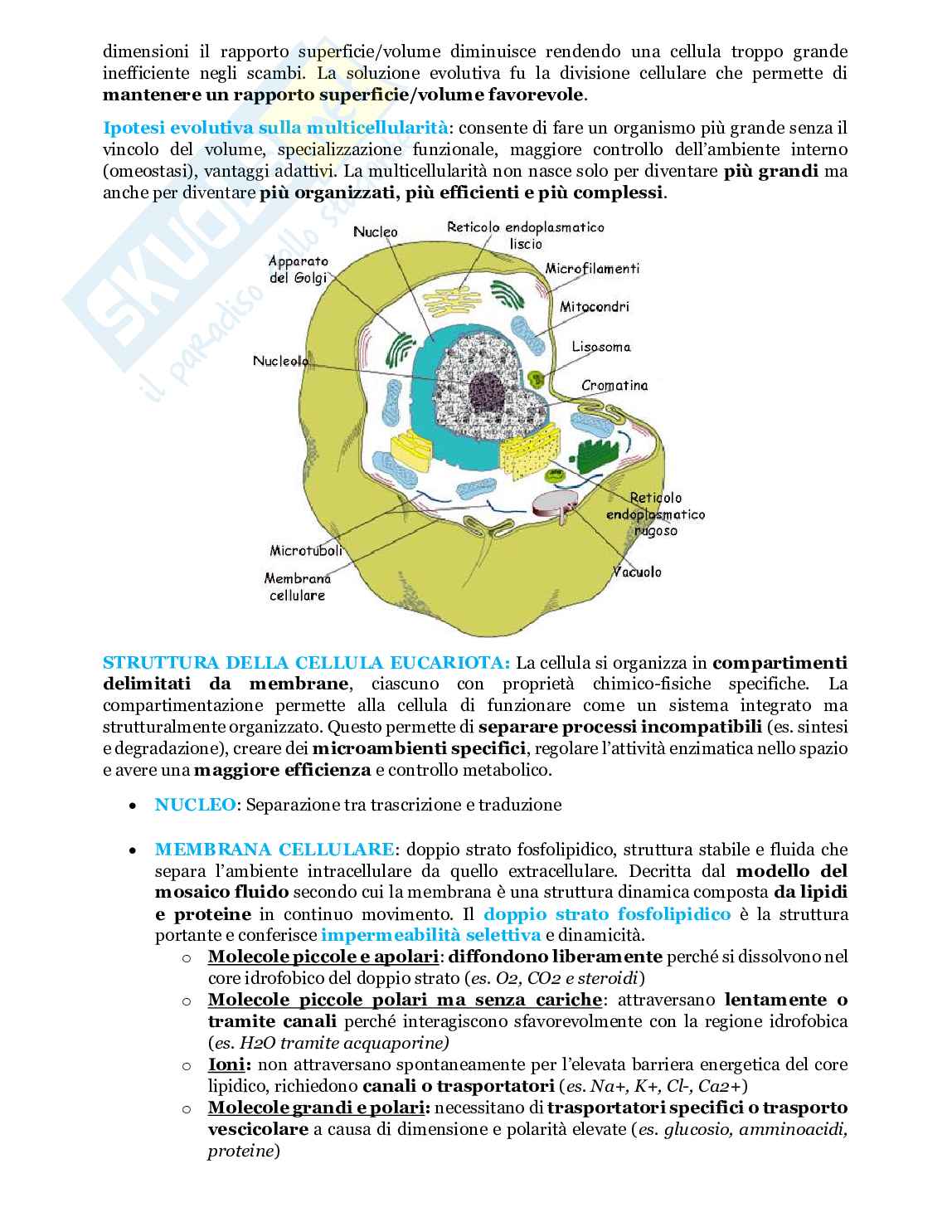 Fondamenti biologia, anatomia e fisiologia - Parte 1 Pag. 11