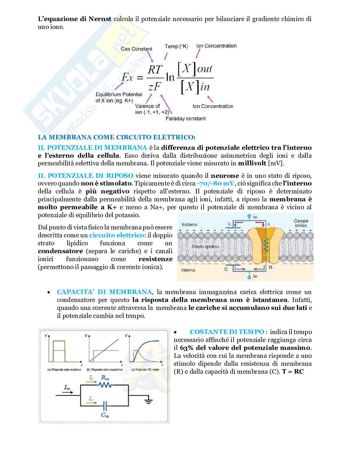 Fondamenti biologia, anatomia e fisiologia - Parte 1 Pag. 26