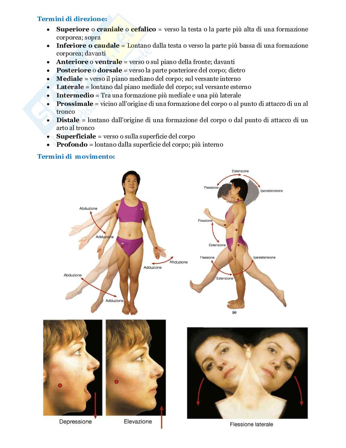 Fondamenti biologia, anatomia e fisiologia - Parte 1 Pag. 6