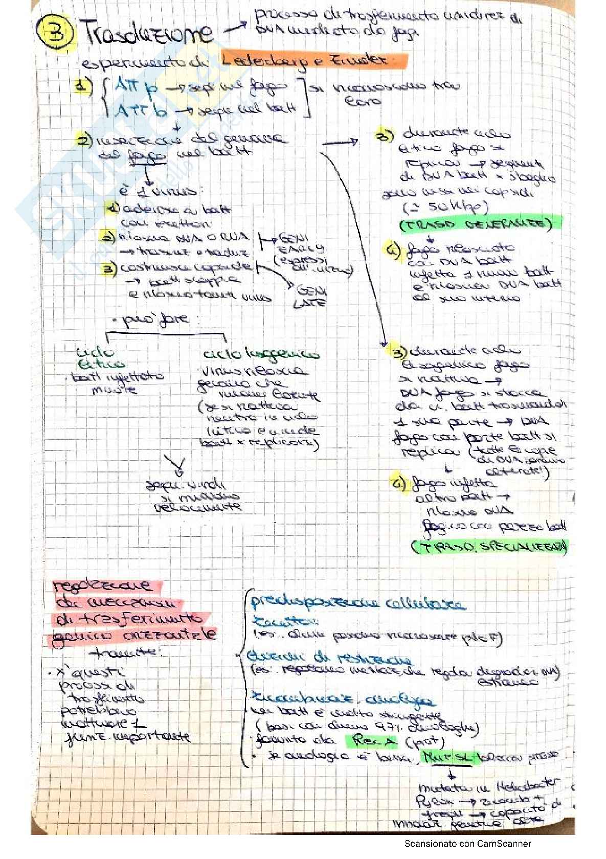 Batteriologia completo Pag. 36