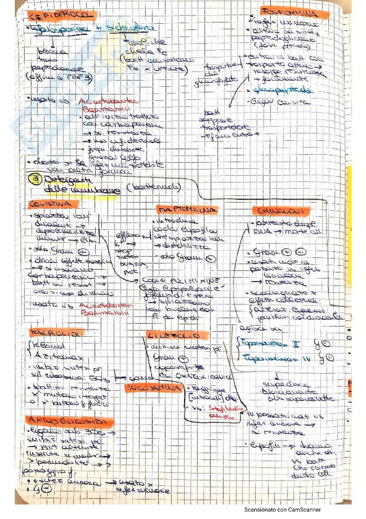 Batteriologia completo Pag. 46