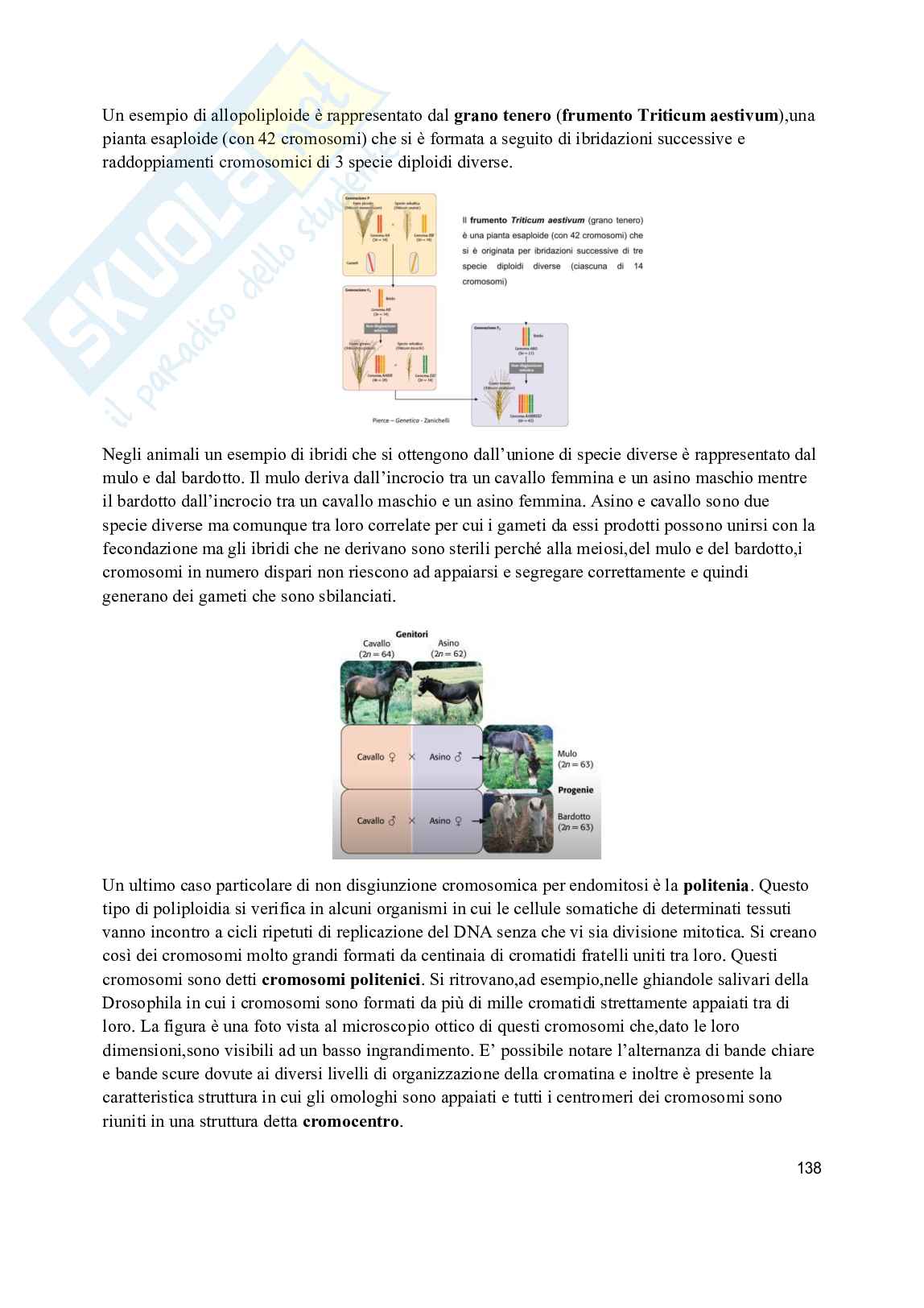 Variazione del numero e della struttura dei cromosomi Pag. 11