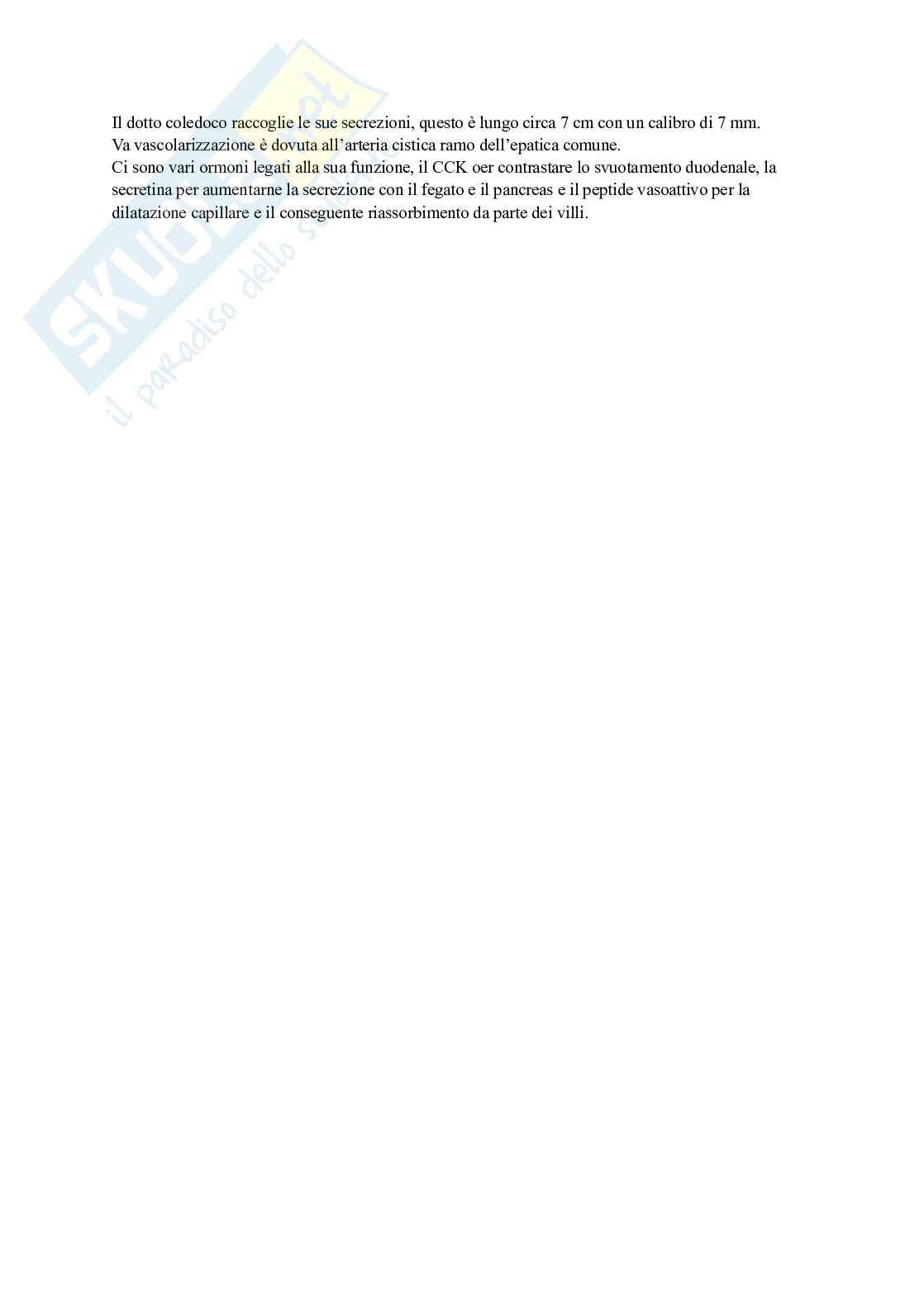 Apparato digerente Pag. 16