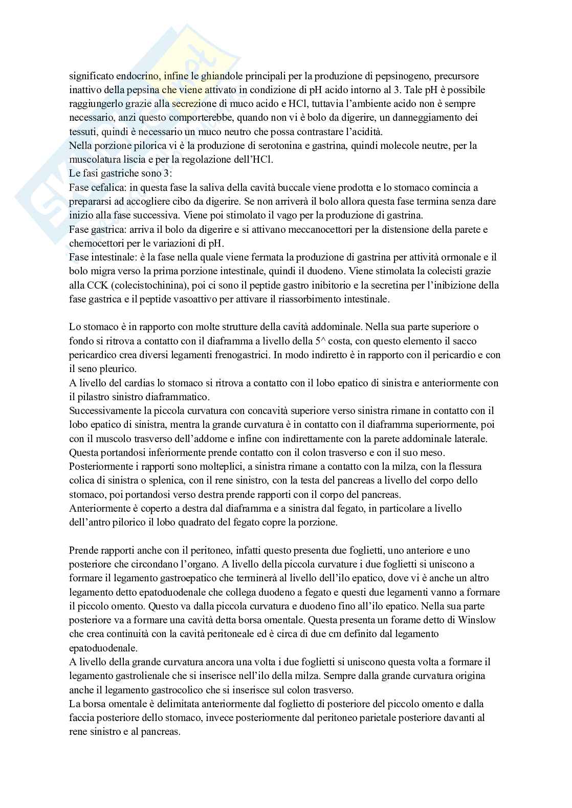 Apparato digerente Pag. 6
