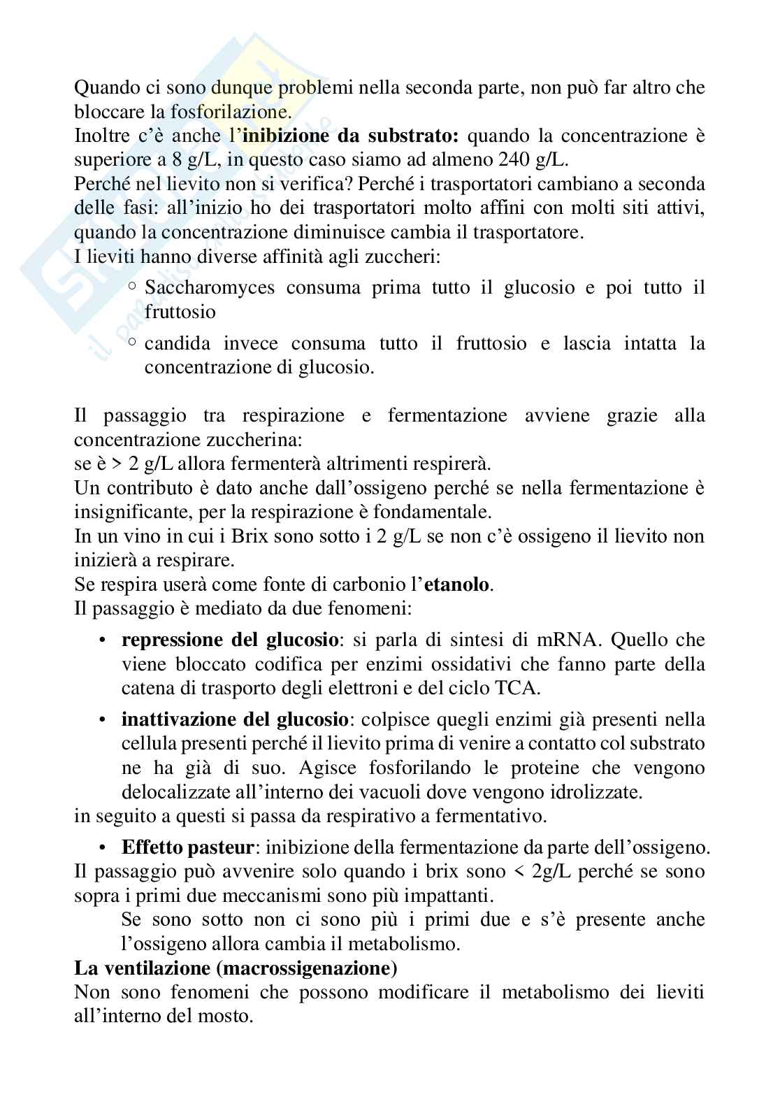 Microbiologia enologica - Appunti COMPLETI di microbiologia enologica presi al computer durante le lezioni in presenza - 60 pagine Pag. 46