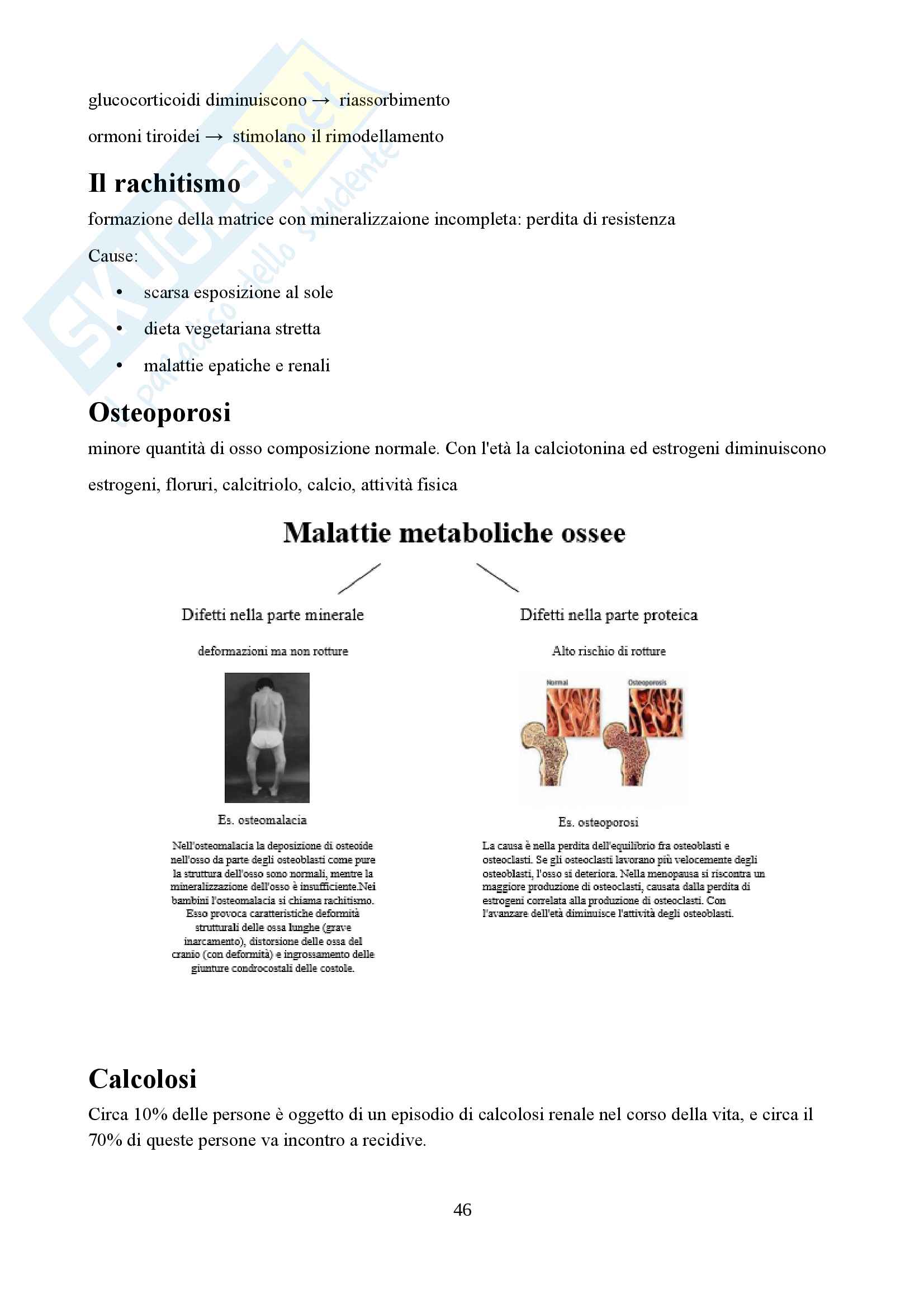 Biochimica sistematica umana Pag. 46