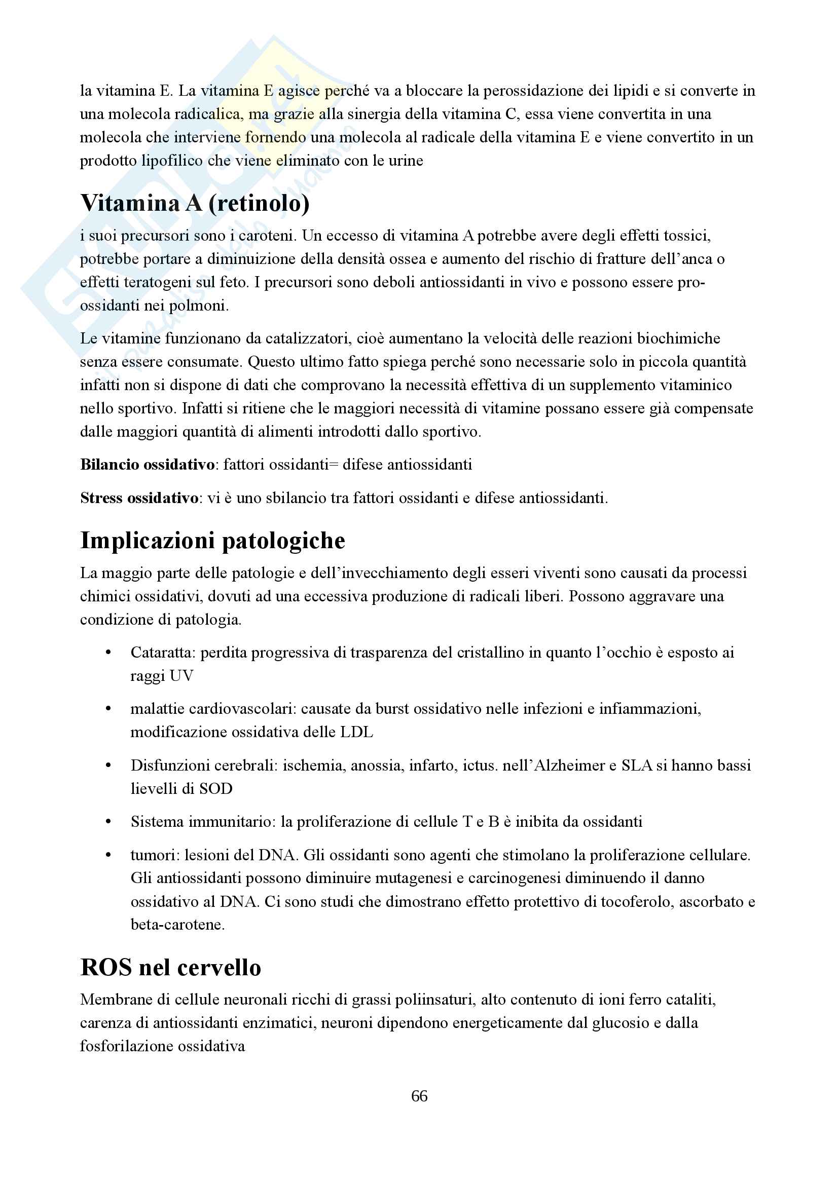 Biochimica sistematica umana Pag. 66