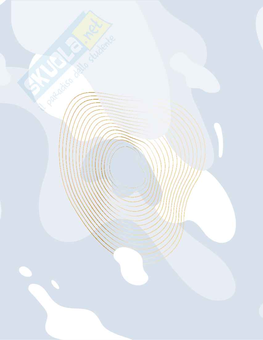 Domande aperte esame Idraulica Pag. 1