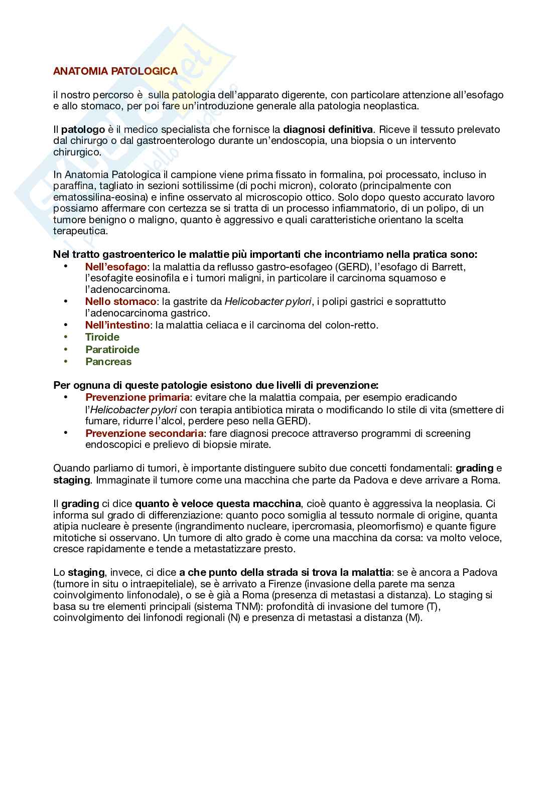 Metodologie di anatomia patologica e istopatologia Pag. 1