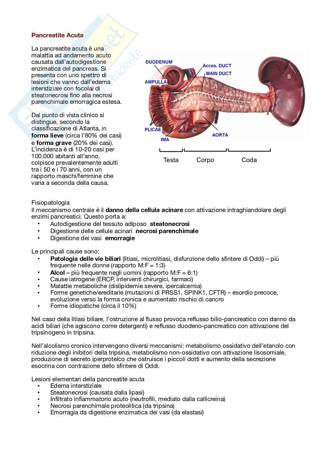 Metodologie di anatomia patologica e istopatologia Pag. 36