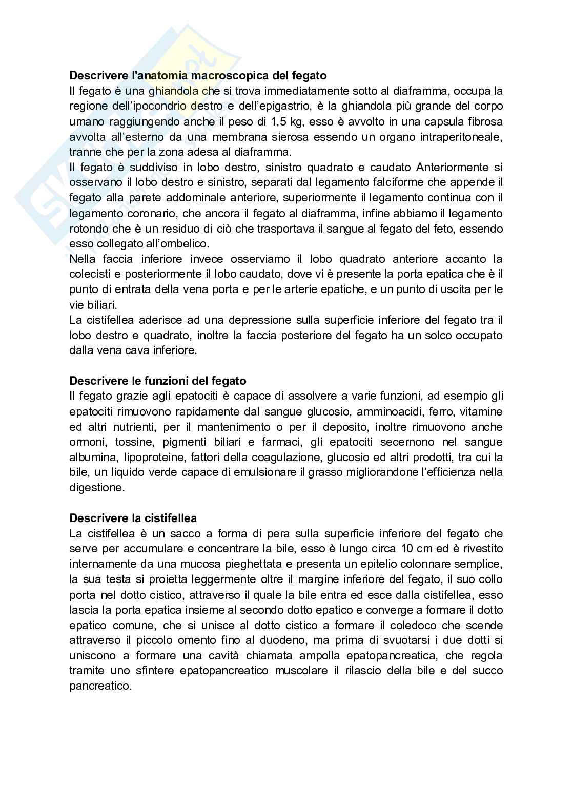 Paniere Anatomia umana - (2026) - Risposte aperte corrette  Pag. 21