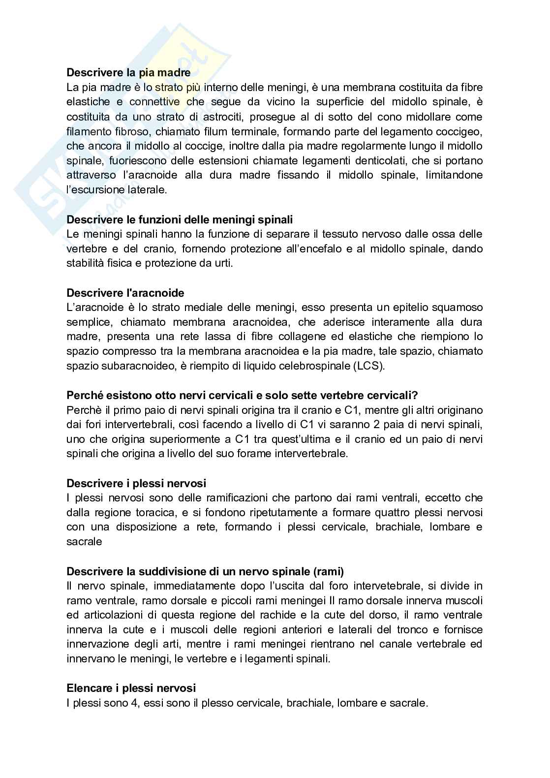 Paniere Anatomia umana - (2026) - Risposte aperte corrette  Pag. 26
