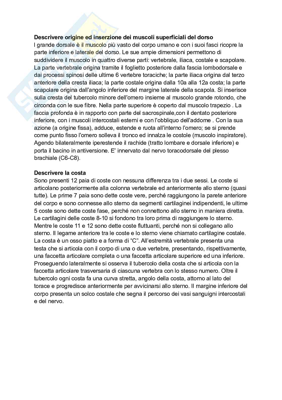 Paniere Anatomia umana - (2026) - Risposte aperte corrette  Pag. 51