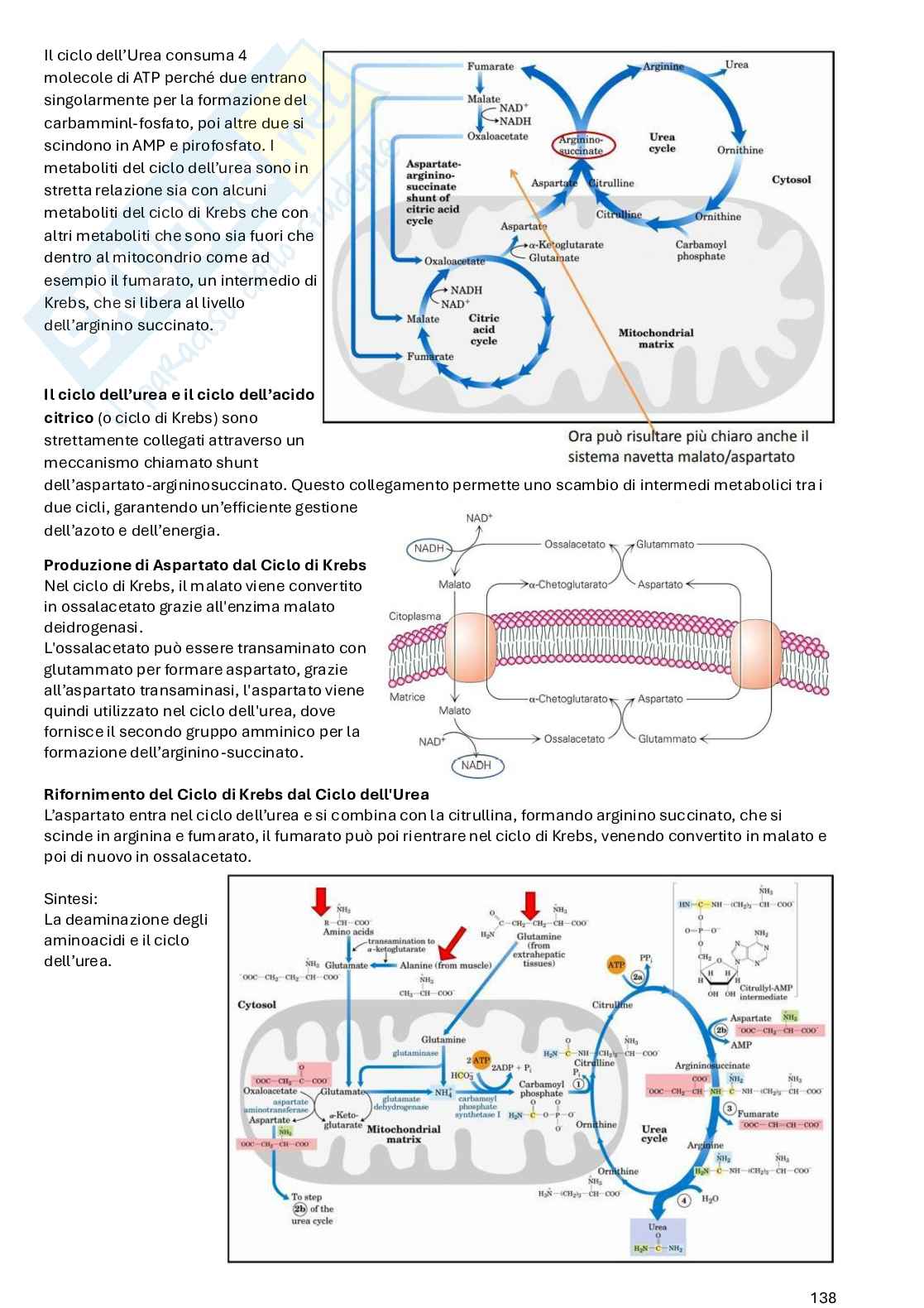 Biochimica ed elementi di nutrizione - Parte 2 Pag. 66