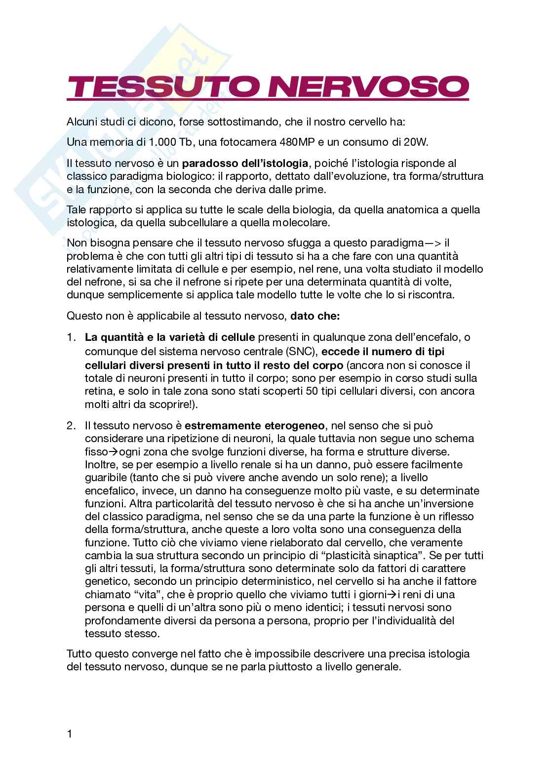 Sistema nervoso Pag. 1