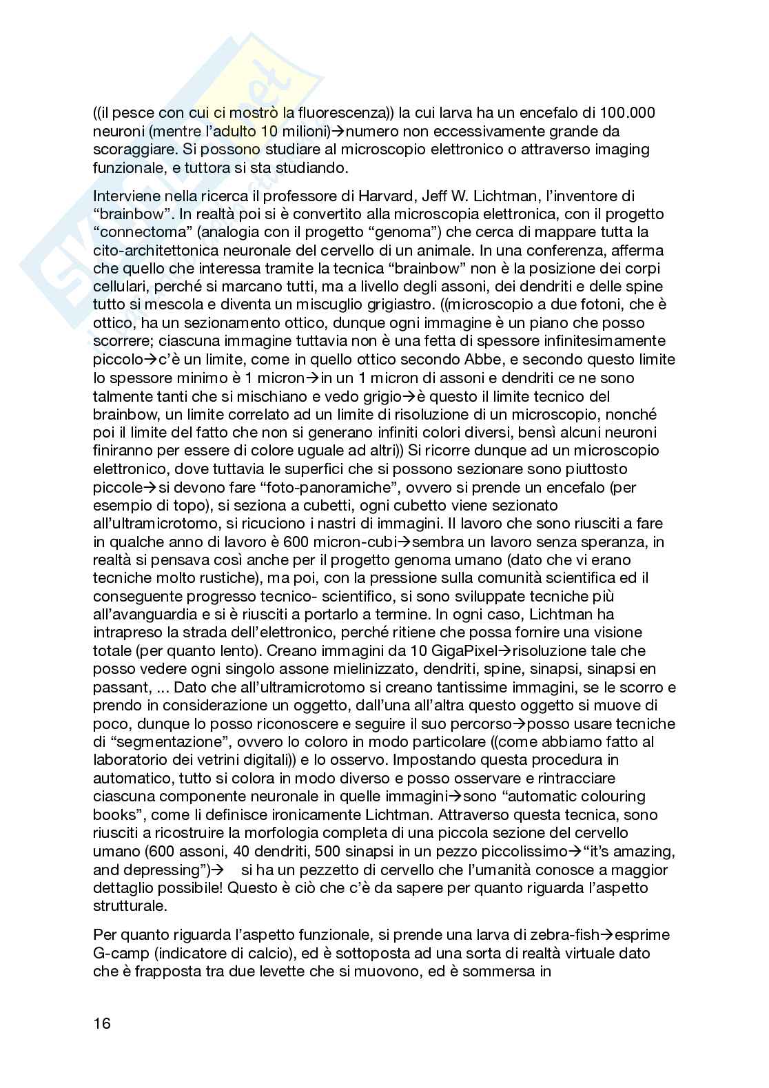 Sistema nervoso Pag. 16