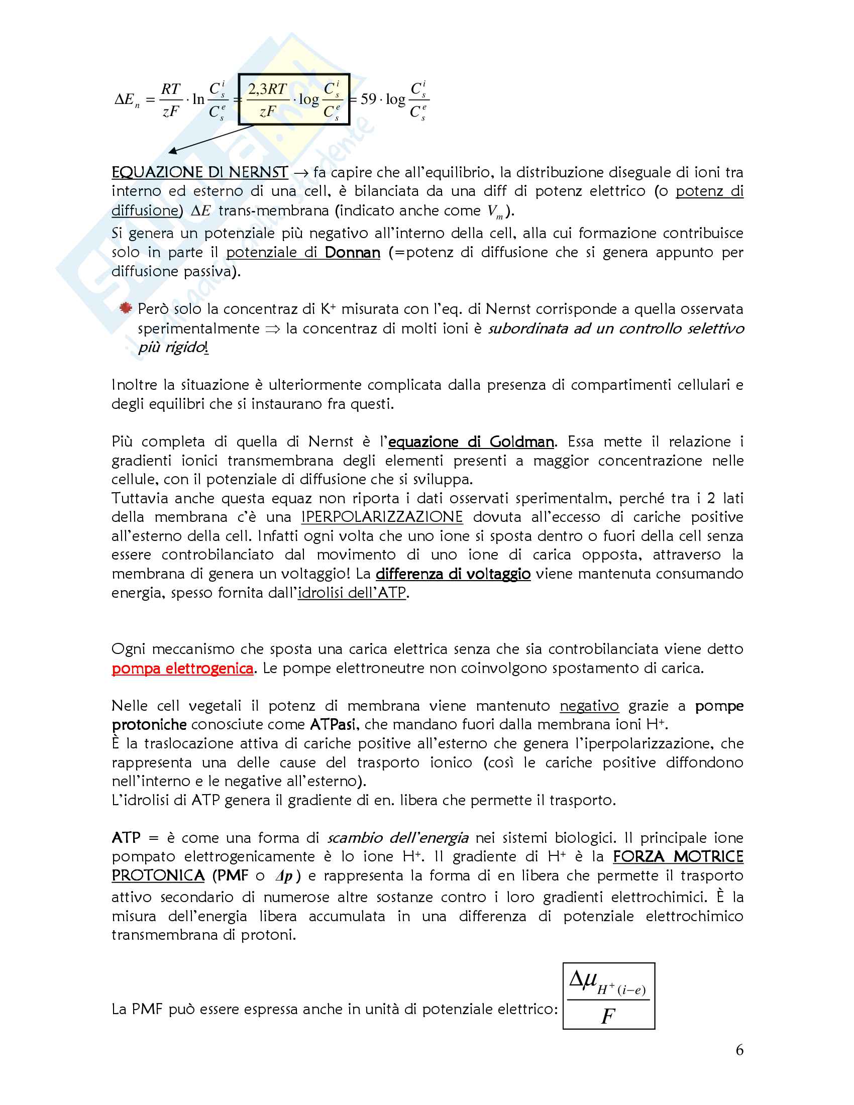 Appunti di Fisiologia Vegetale (prof.ssa Gonnelli) Pag. 6