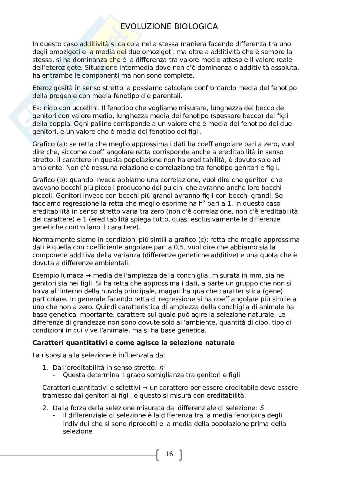 Evoluzione biologica Pag. 16