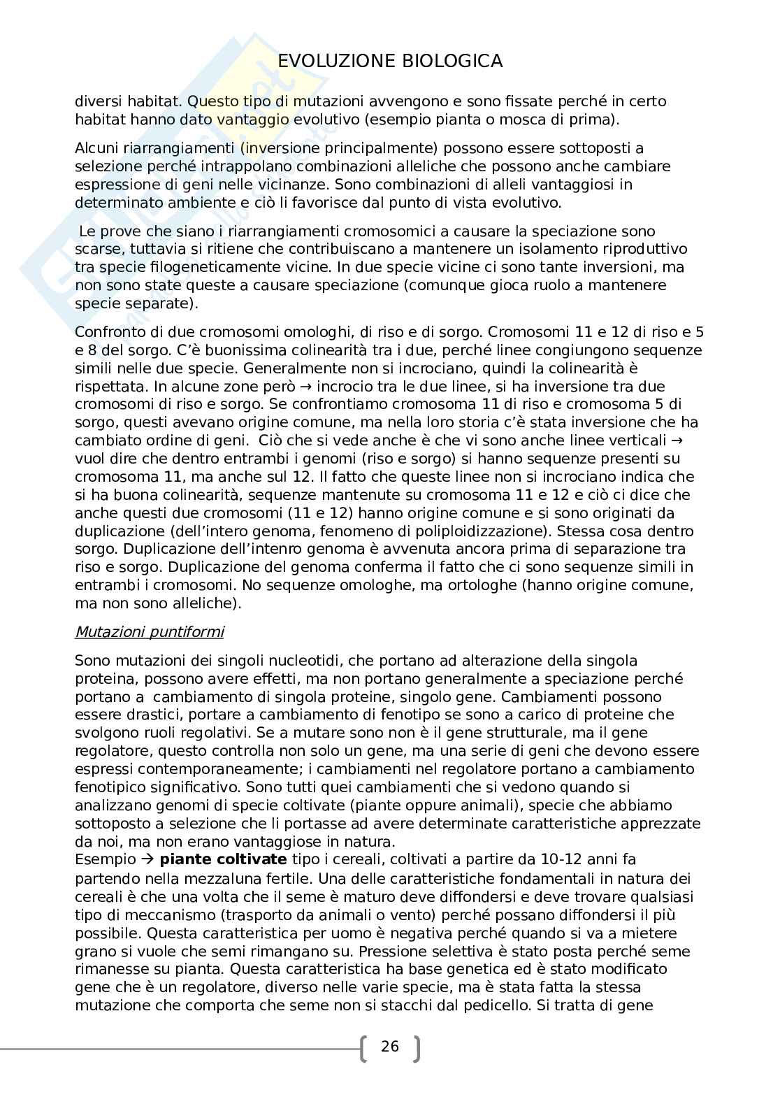 Evoluzione biologica Pag. 26