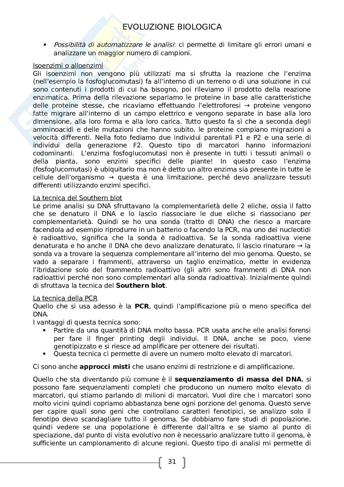 Evoluzione biologica Pag. 31