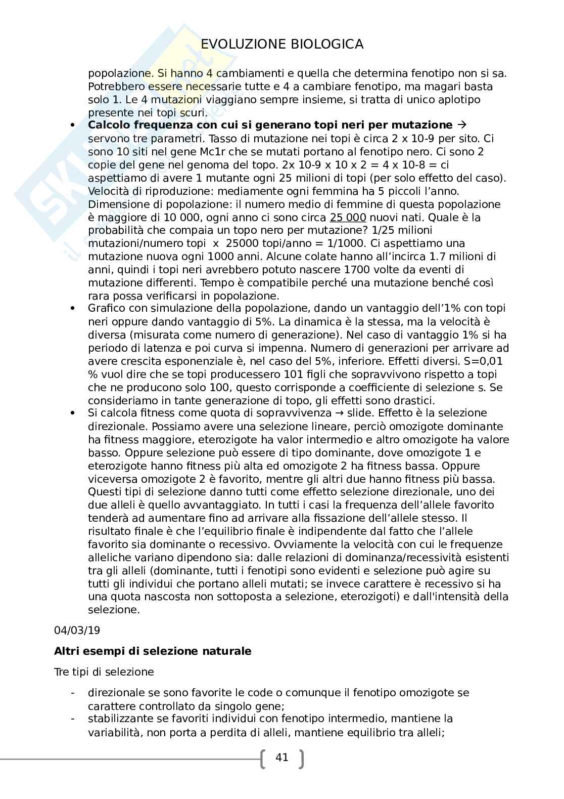 Evoluzione biologica Pag. 41