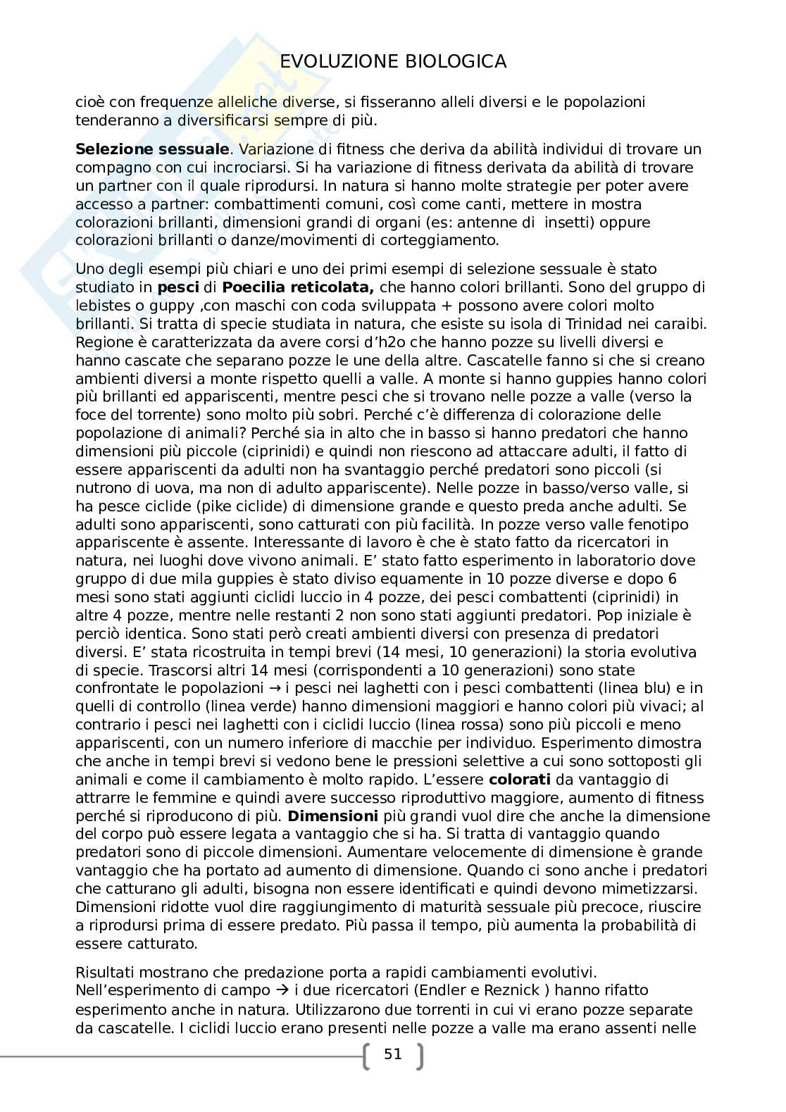 Evoluzione biologica Pag. 51