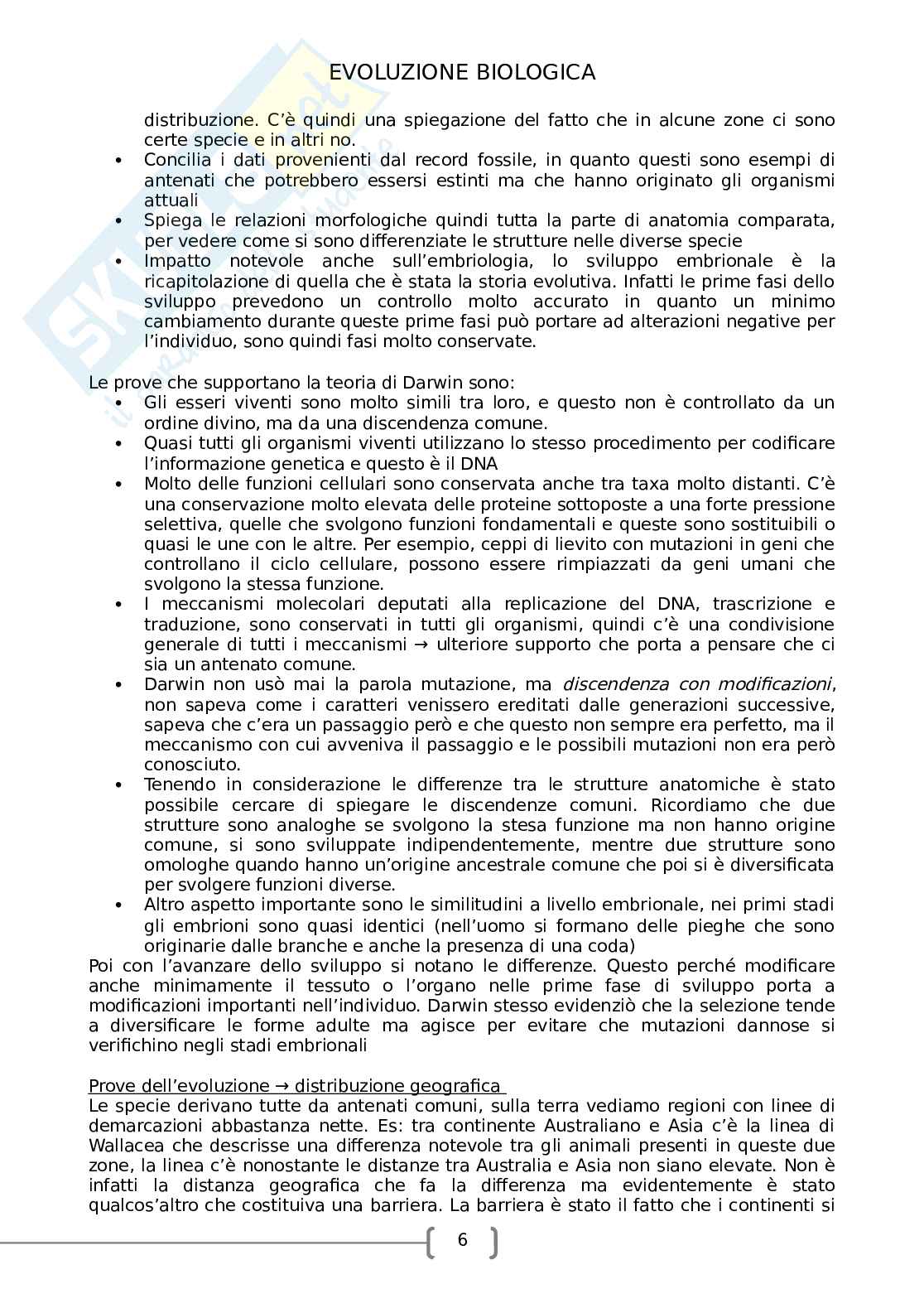 Evoluzione biologica Pag. 6