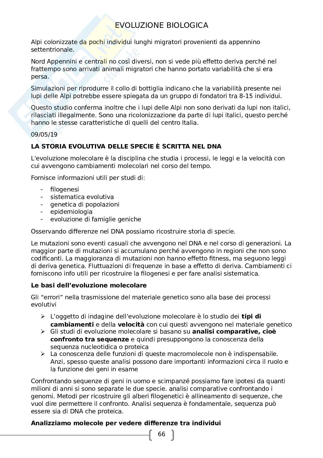 Evoluzione biologica Pag. 66