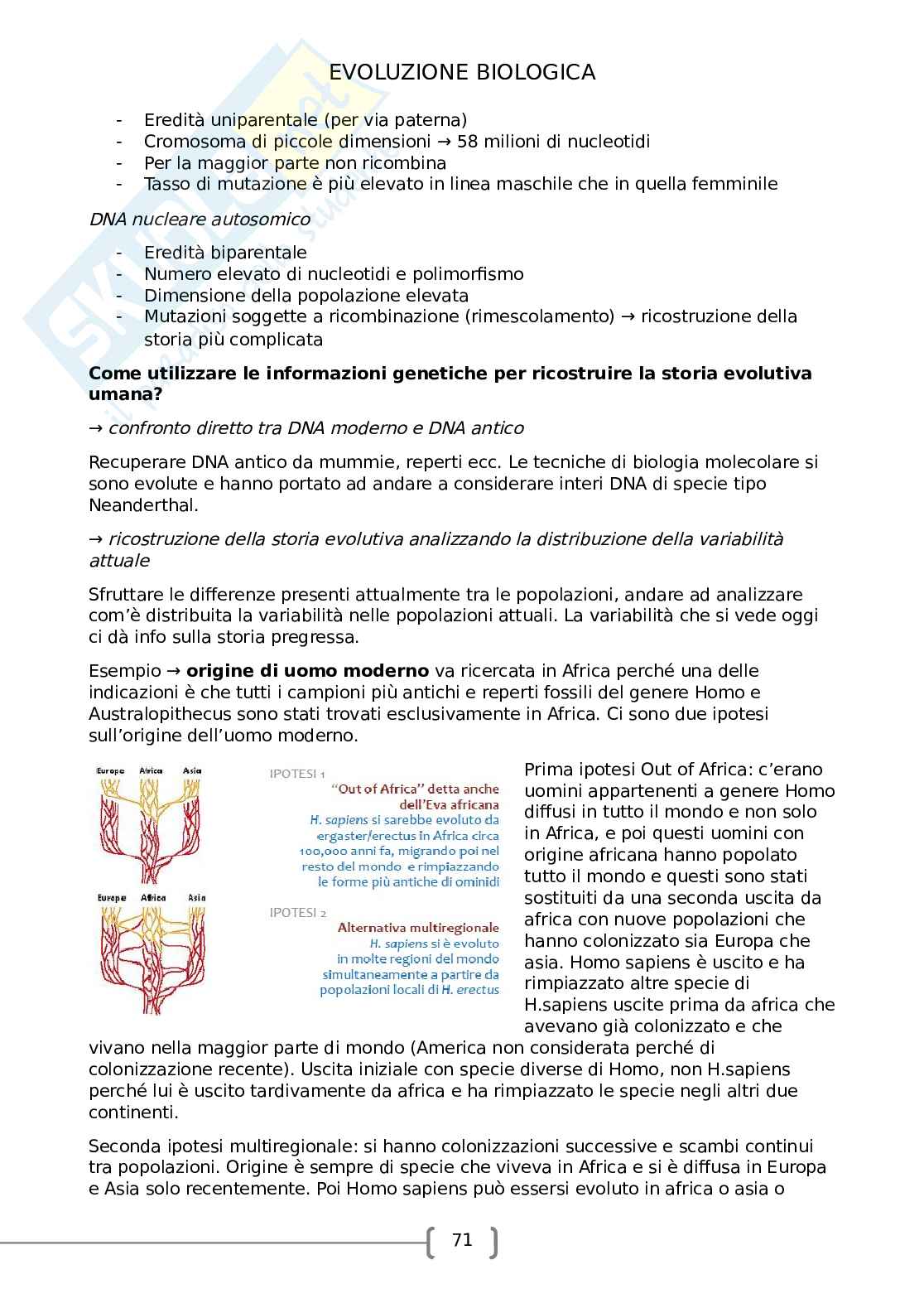 Evoluzione biologica Pag. 71