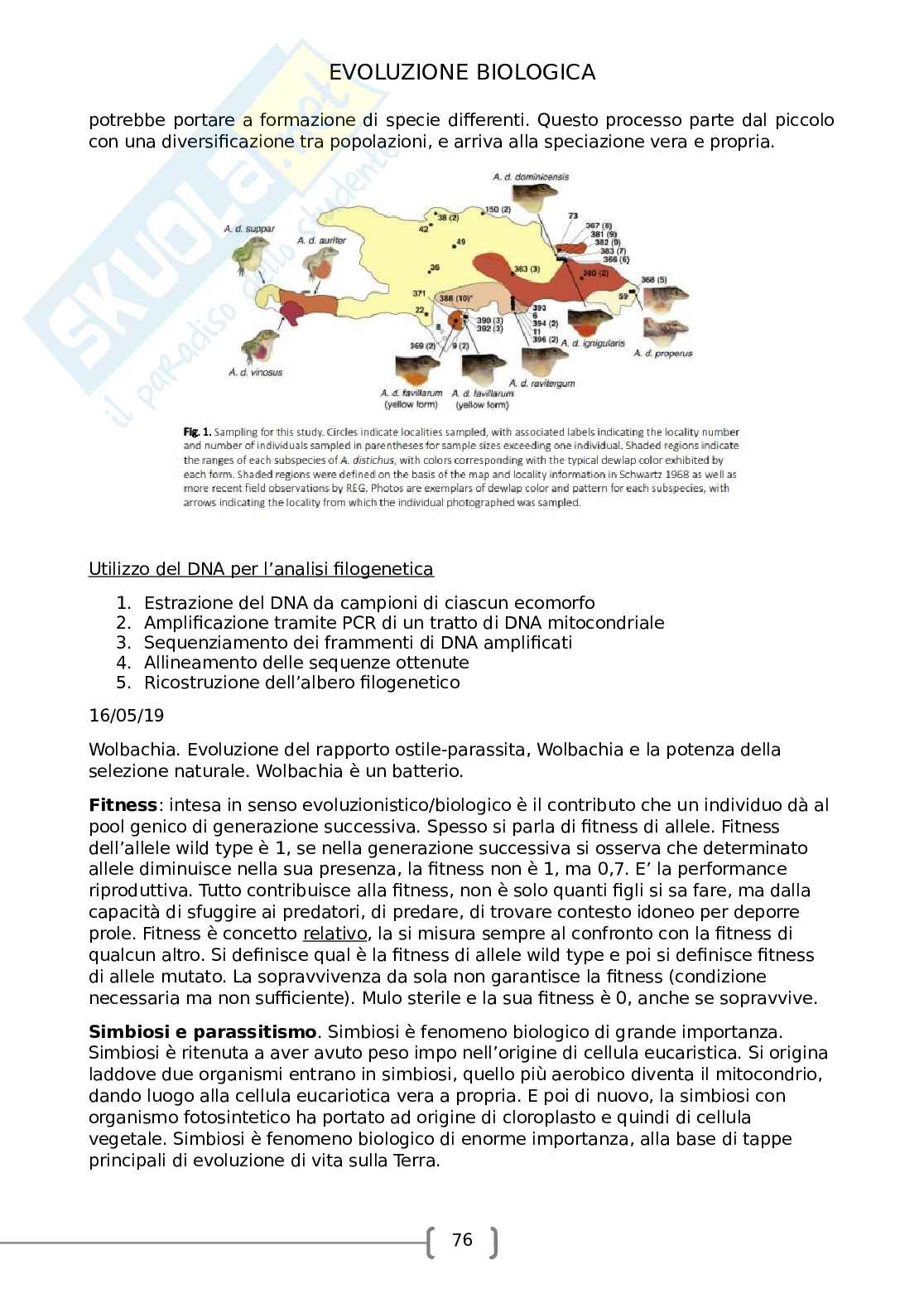 Evoluzione biologica Pag. 76