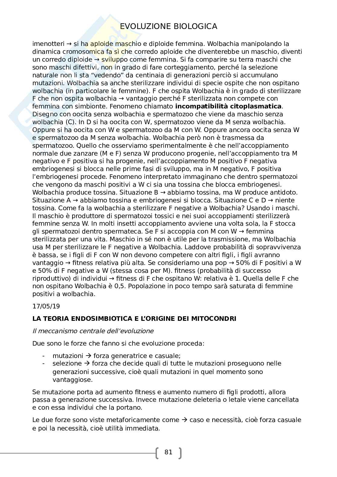 Evoluzione biologica Pag. 81