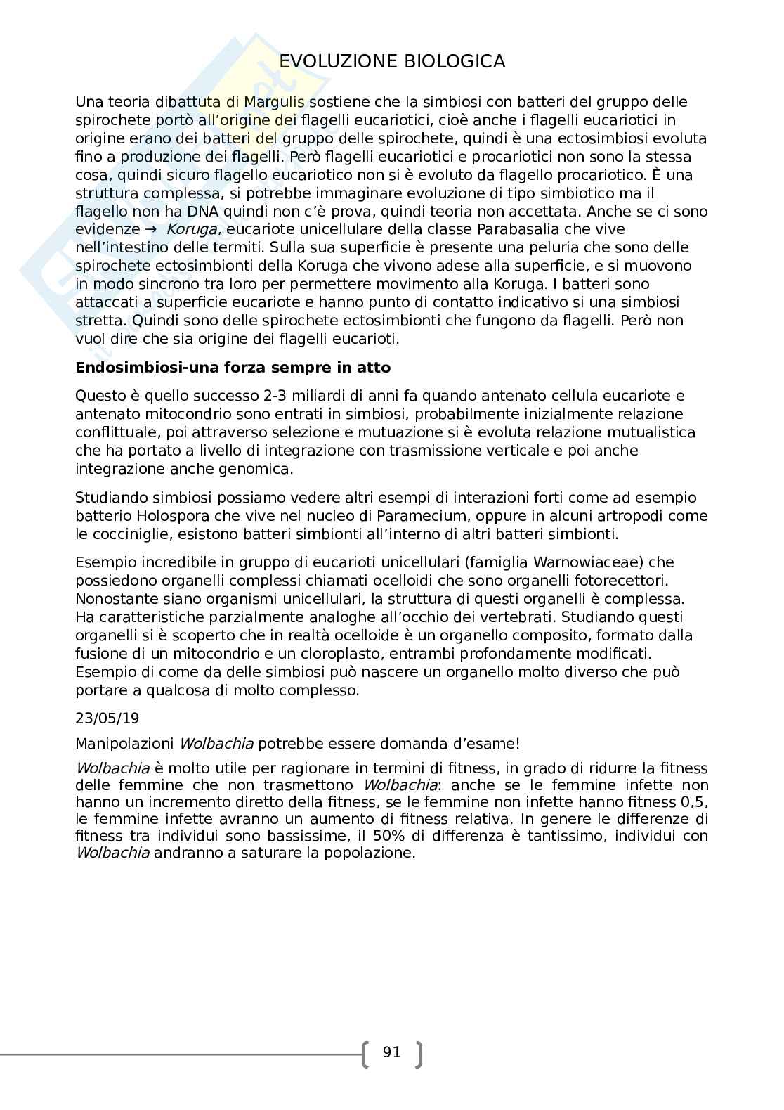 Evoluzione biologica Pag. 91