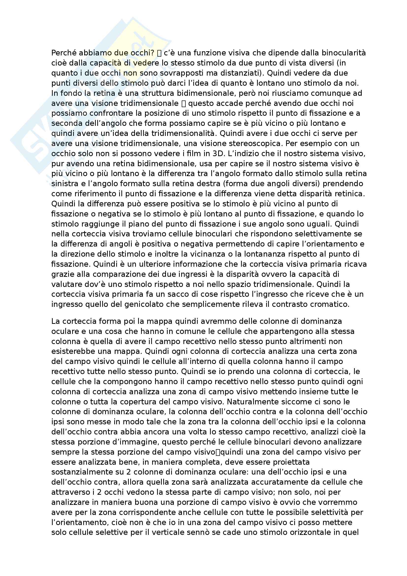 Fondamenti anatomo-fisiologici dell'attività psichica - sistema visivo dettagliato Pag. 21
