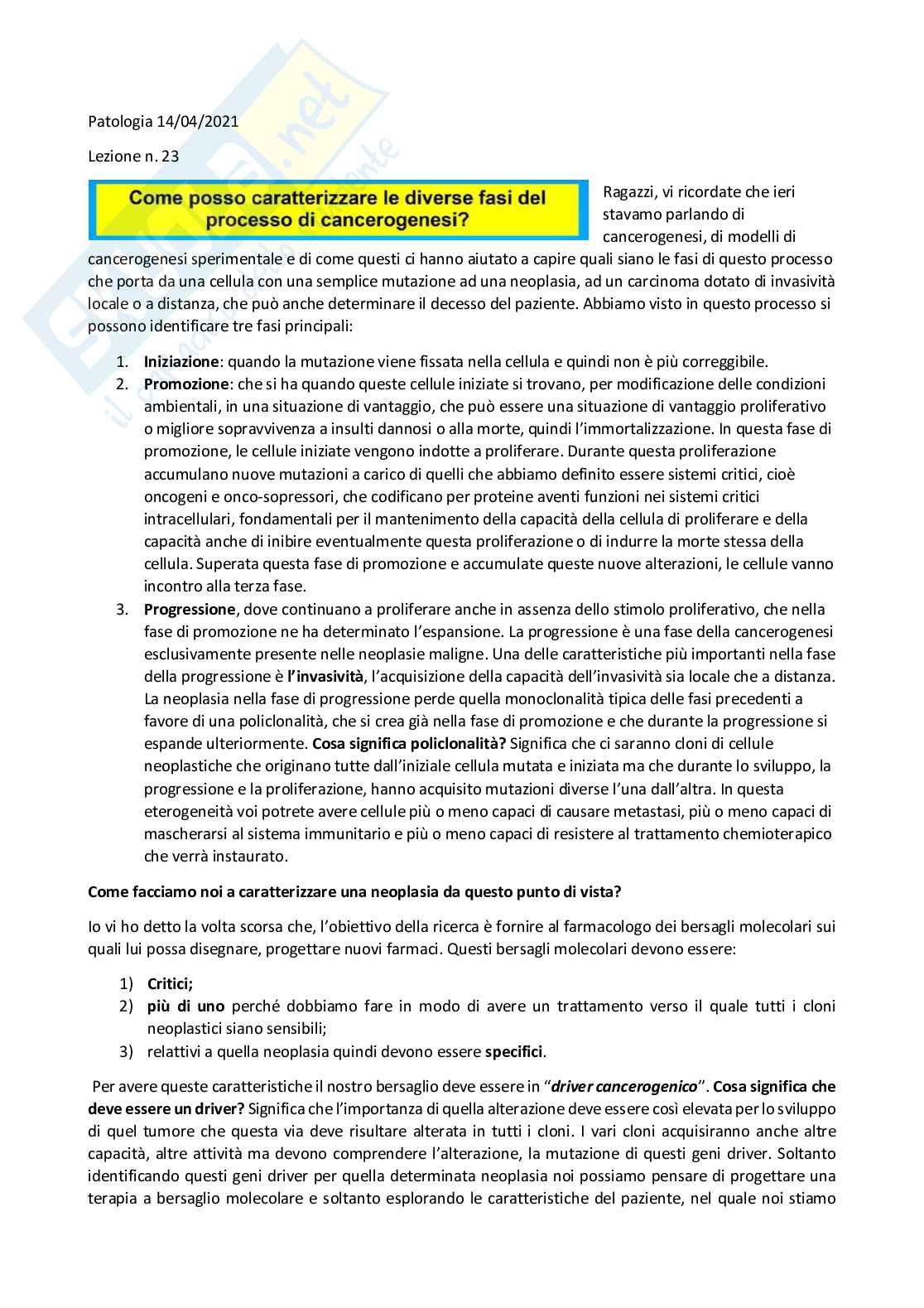 Patologia generale e fondamenti di fisiopatologia - parte 5 Pag. 11