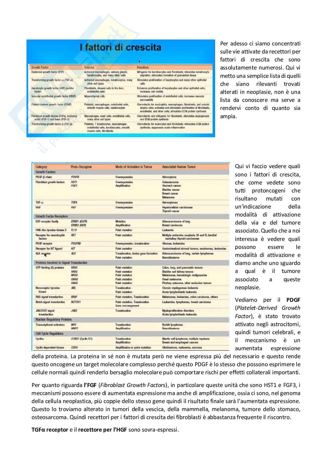 Patologia generale e fondamenti di fisiopatologia - parte 5 Pag. 21