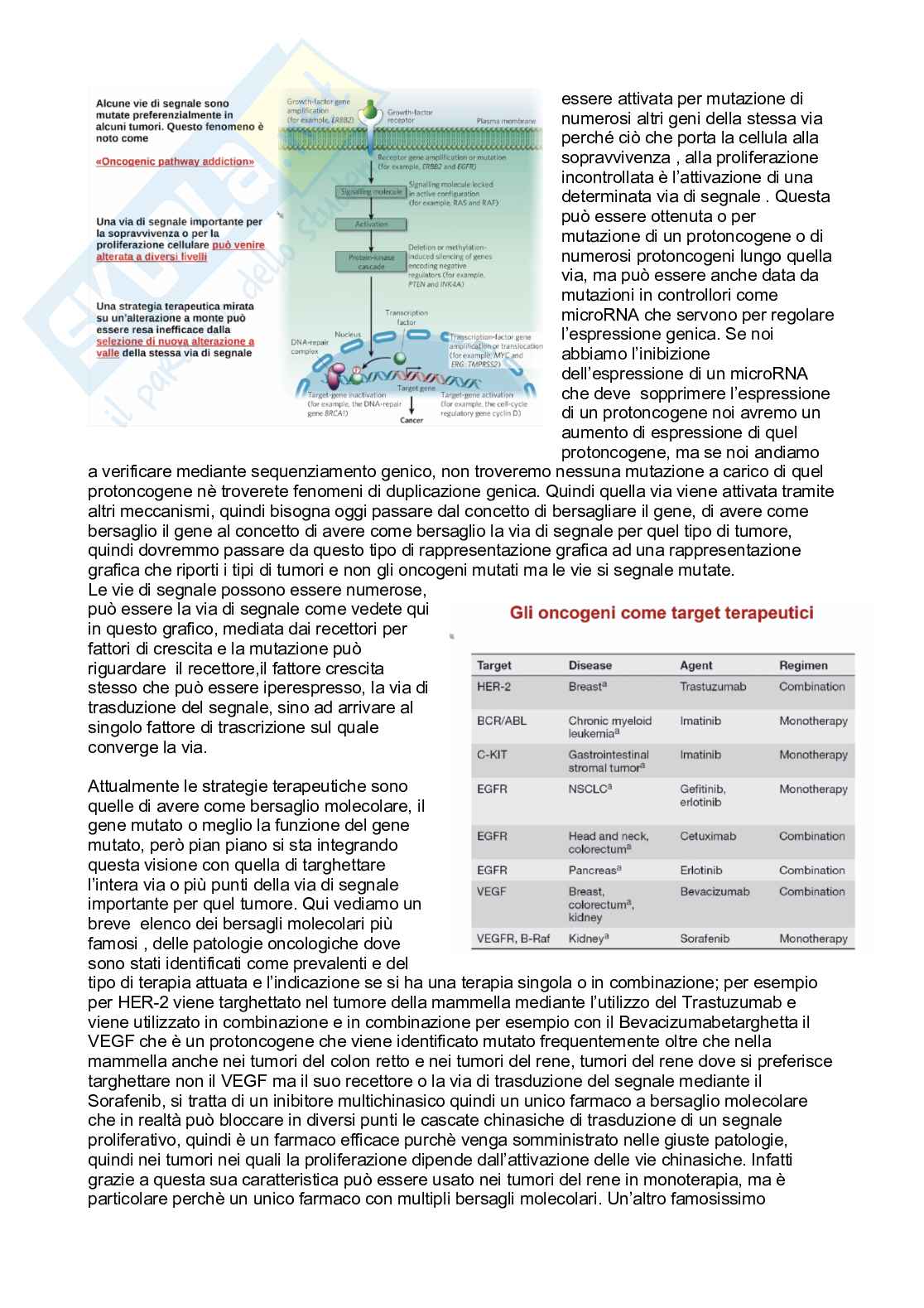 Patologia generale e fondamenti di fisiopatologia - parte 5 Pag. 26