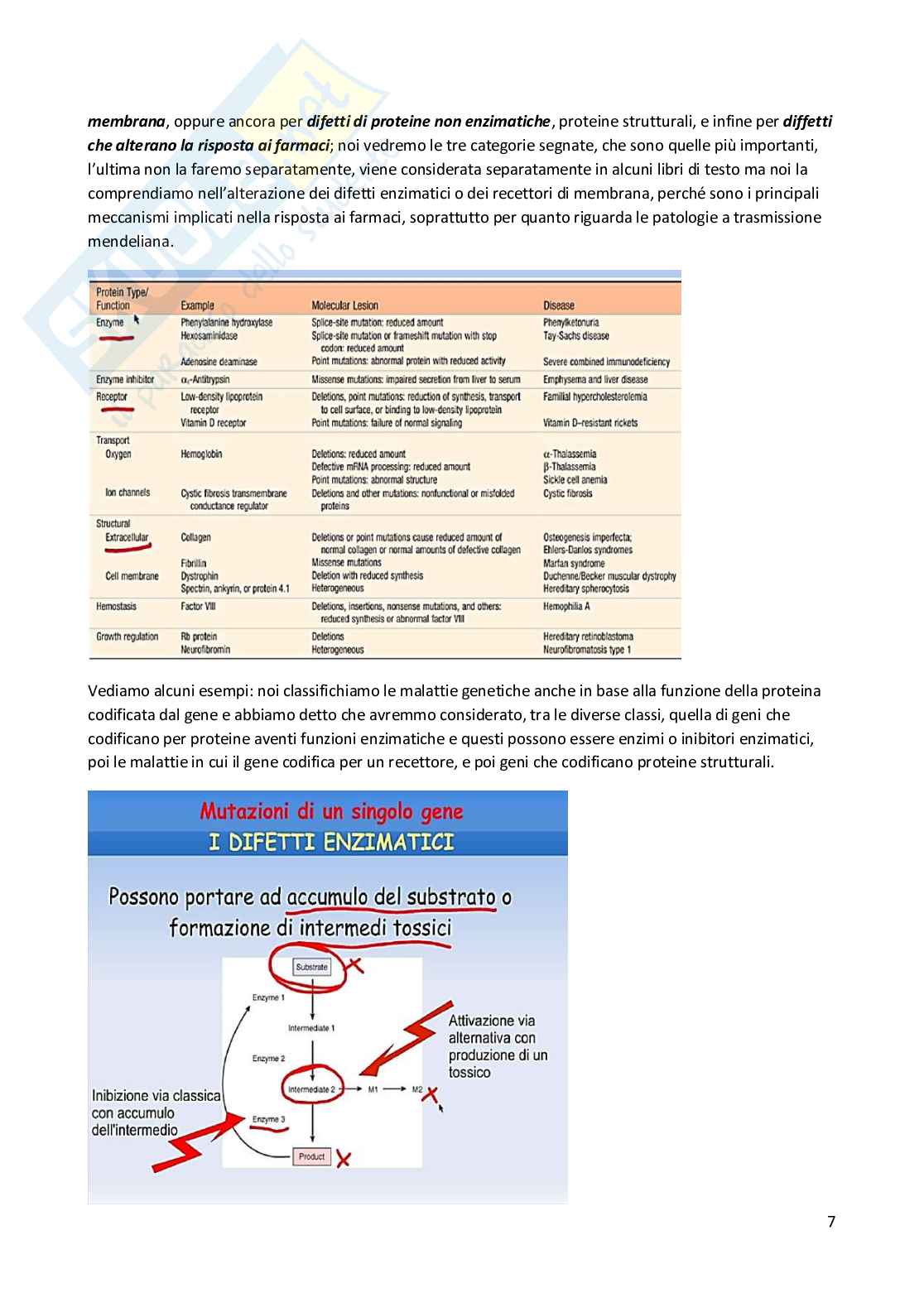 Patologia generale e fondamenti di fisiopatologia - parte 5 Pag. 36