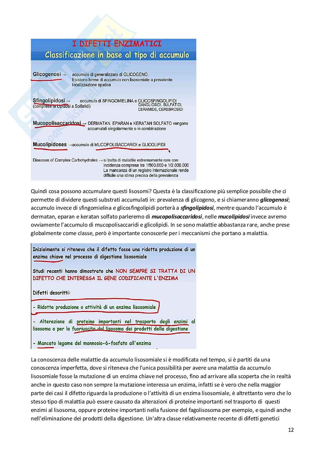 Patologia generale e fondamenti di fisiopatologia - parte 5 Pag. 41