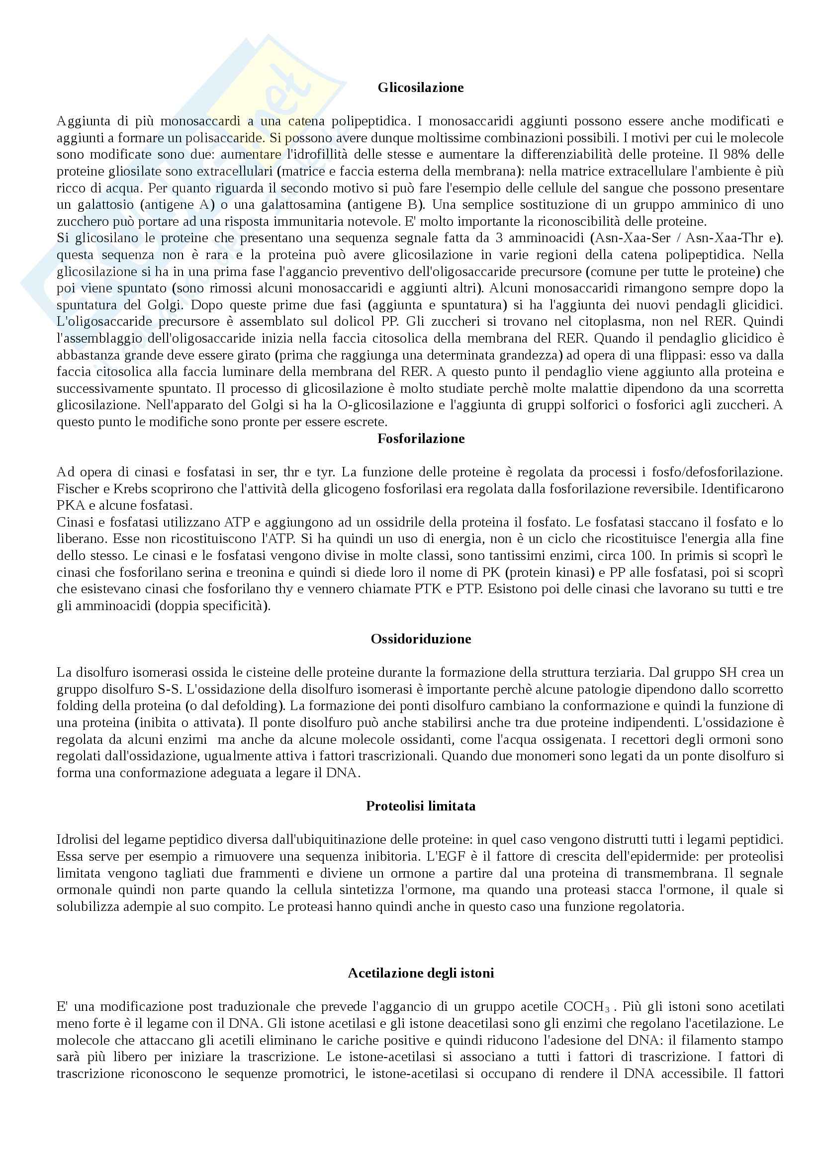 Lezioni: Appunti di Biochimica I Pag. 11