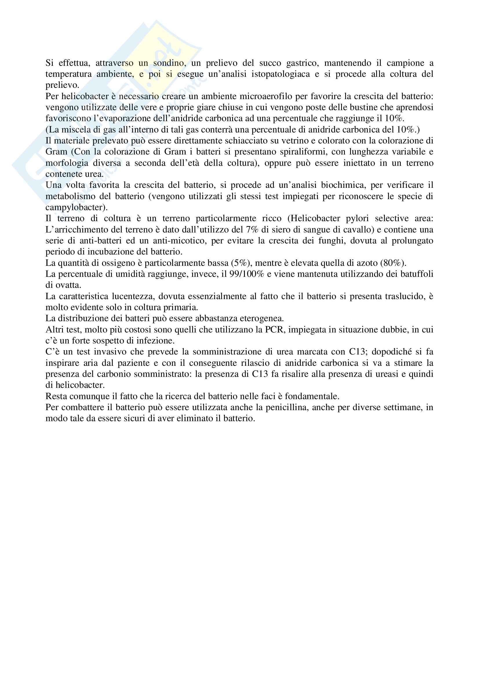 Microbiologia - sifilide Pag. 6