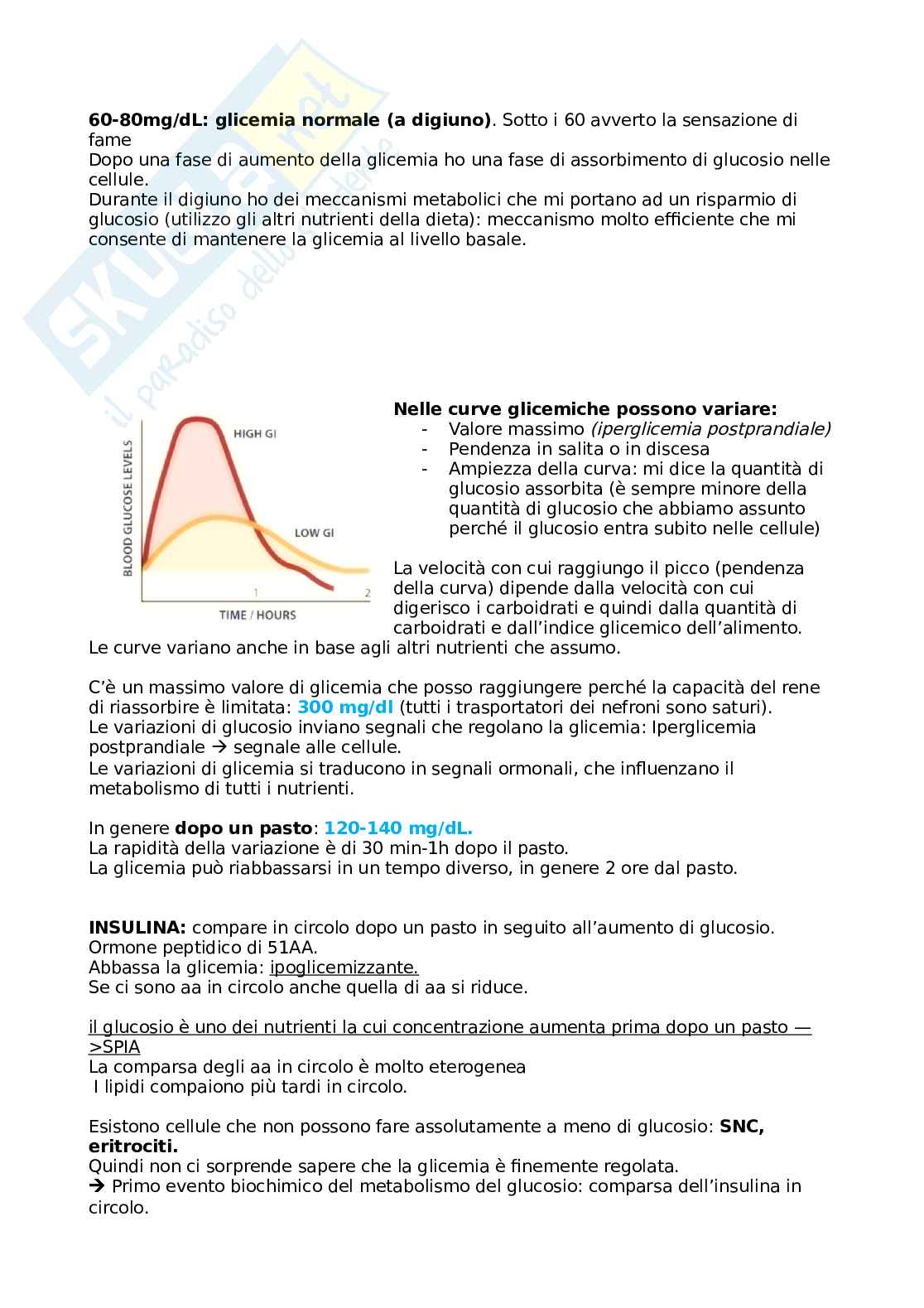 Appunti Biochimica (prof. Prinetti) Pag. 11