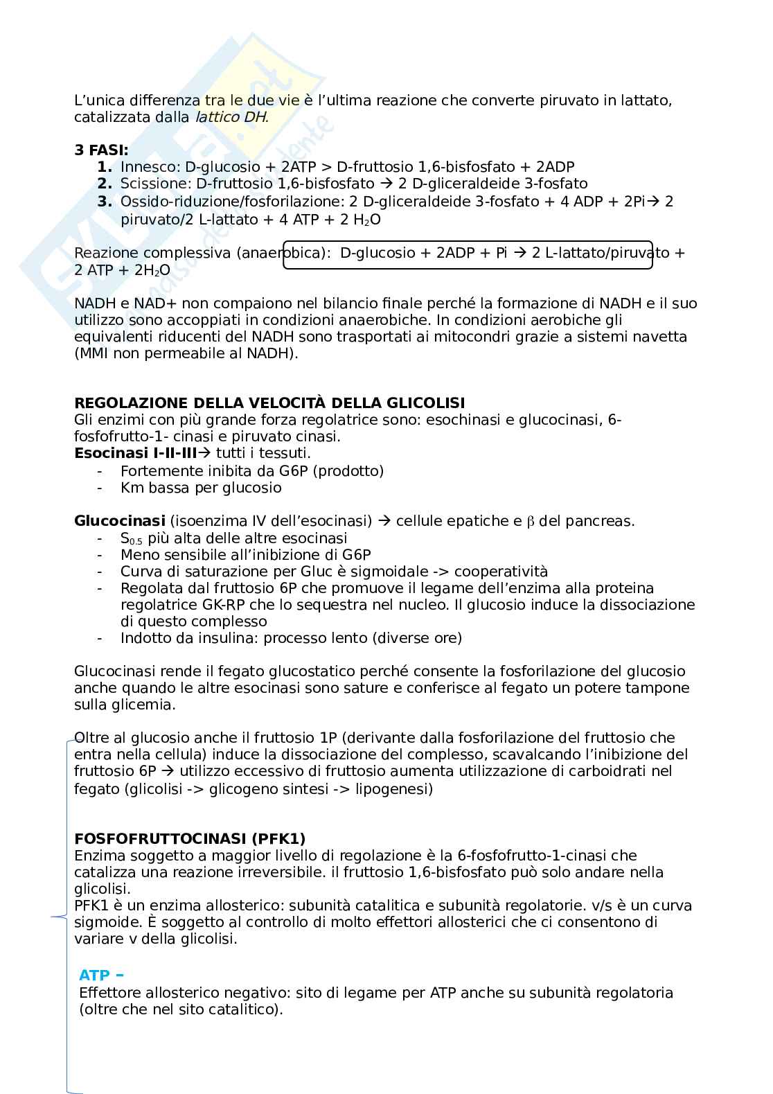 Appunti Biochimica (prof. Prinetti) Pag. 16