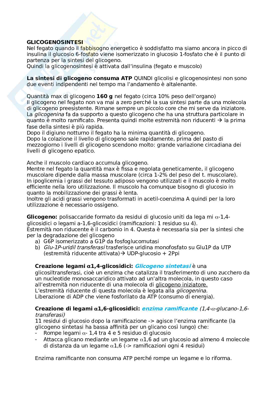 Appunti Biochimica (prof. Prinetti) Pag. 21